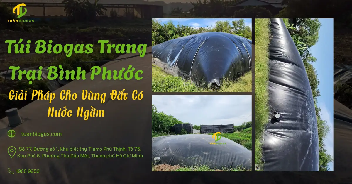 Túi Biogas Trang Trại Bình Phước: Giải Pháp Cho Vùng Đất Có Nước Ngầm